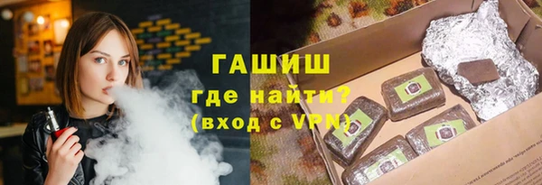 дживик Ельня