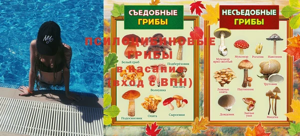дживик Ельня
