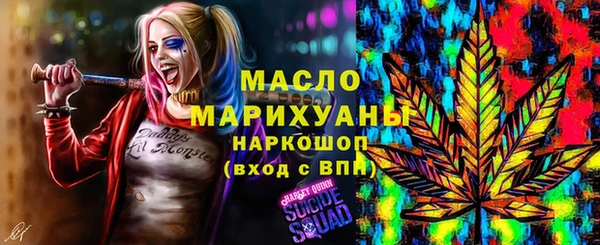 дживик Ельня