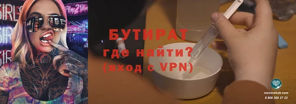 дживик Ельня