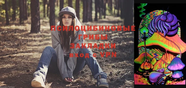ешки Тында