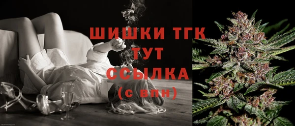 дживик Ельня