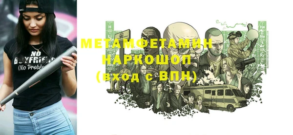 дживик Ельня