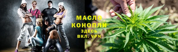 дживик Ельня