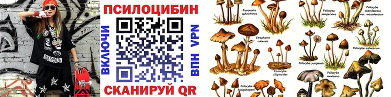 Псилоцибиновые грибы Psilocybe  Купить где  Реж 